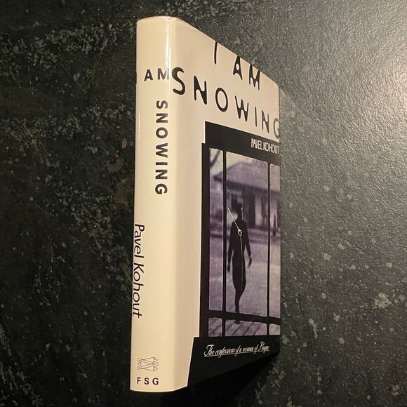"I Am Snowing," by Pavel Kohout, 1994 Hardcover - Picture 3 of 7